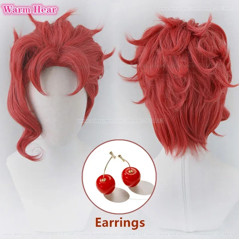 花京院典明合成ユニセックス 30 センチメートル赤コスプレア - Anime Cosplay Red Hair のレビューと価格