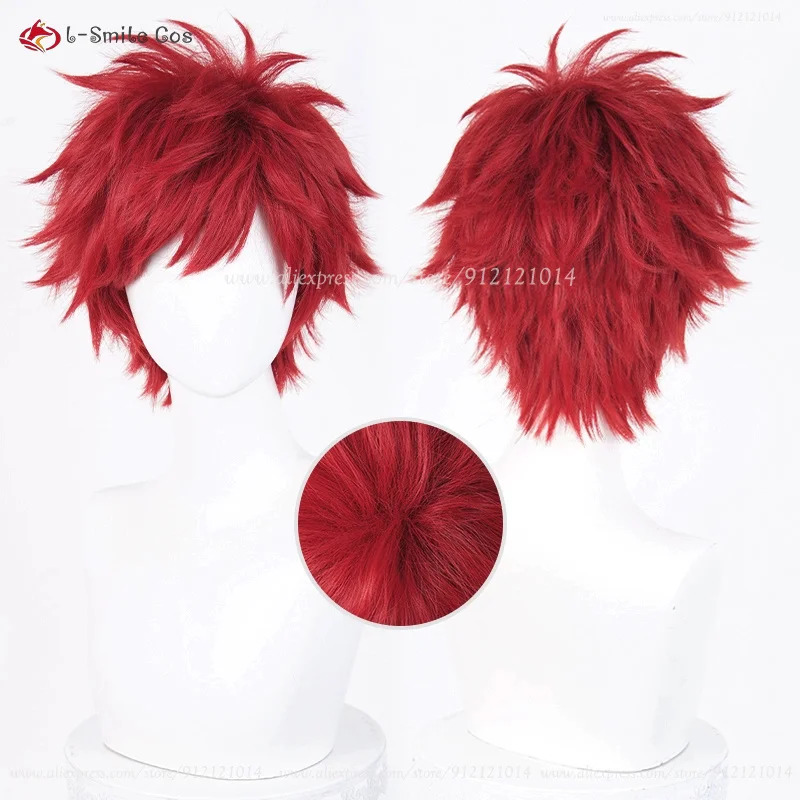 アニメライヒャルム・ヴァン・アストレアコスプレ 30 センチ - Anime Cosplay Red Hair のレビューと価格