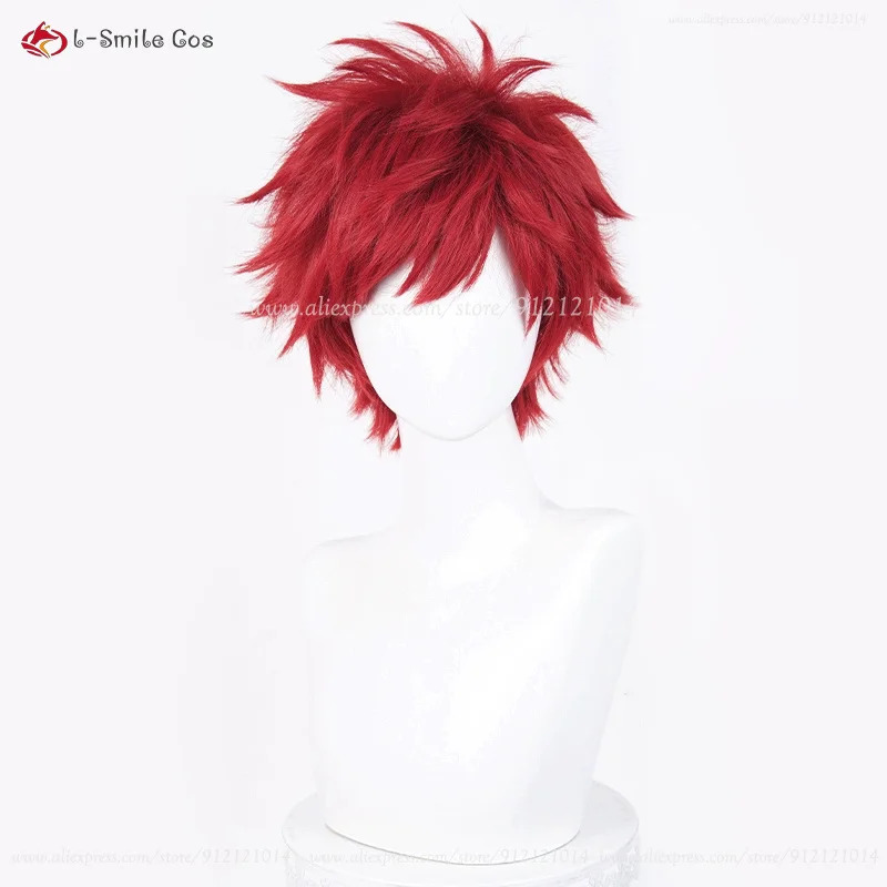 アニメライヒャルム・ヴァン・アストレアコスプレ 30 センチ - Anime Cosplay Red Hair のレビューと価格