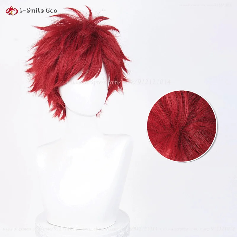 アニメライヒャルム・ヴァン・アストレアコスプレ 30 センチ - Anime Cosplay Red Hair のレビューと価格